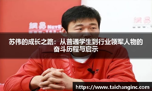 苏伟的成长之路：从普通学生到行业领军人物的奋斗历程与启示